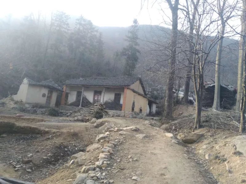 春风渐起,喜春网注册开启新旅程